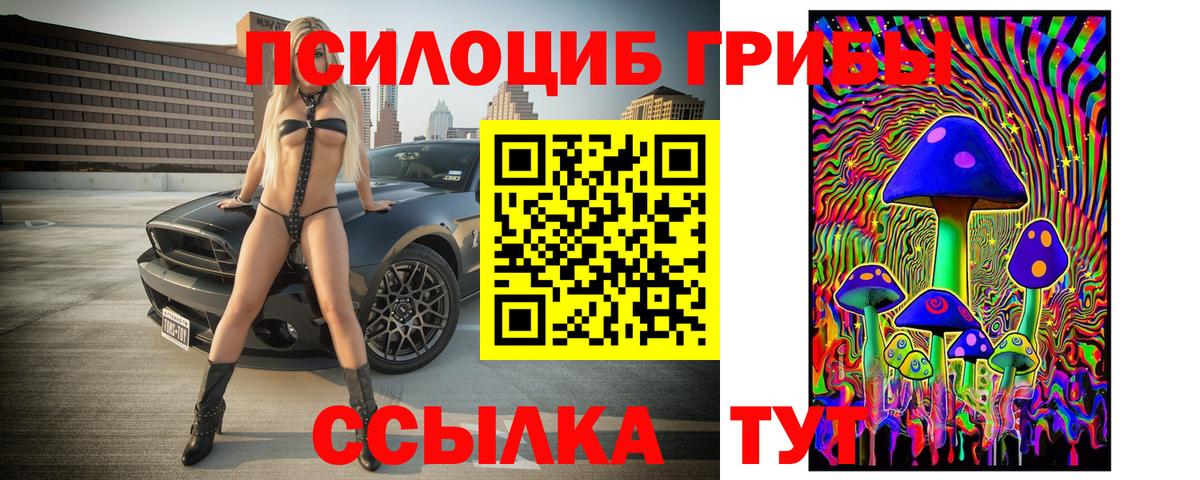 Псилоцибиновые грибы ЛСД  Вход с VPN  Нижний Тагил  наркота  Псилоцибиновые грибы Psilocybine cubensis 